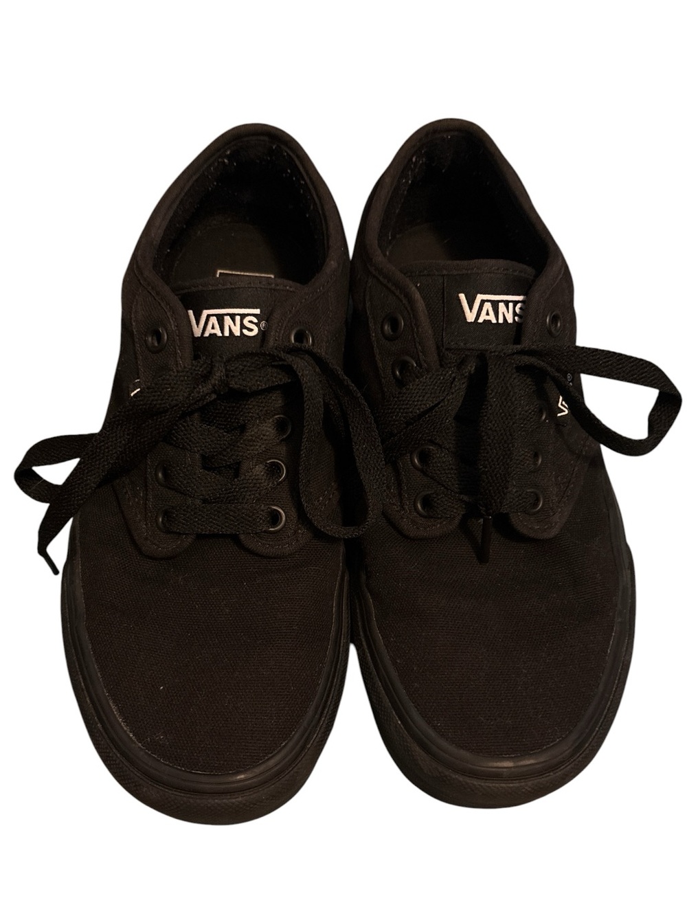 Vans Men’s Black Authentic Low Top Sneakers